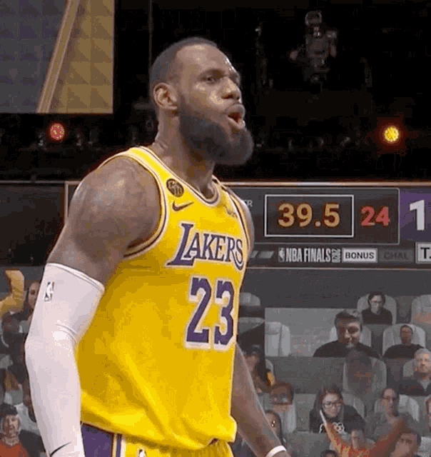 Haris Lebron James GIF
