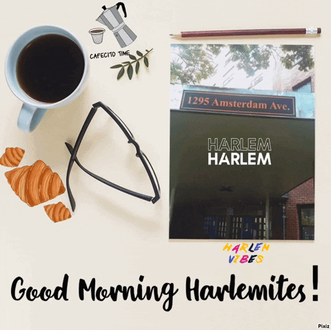 Harlem Good Morning GIF