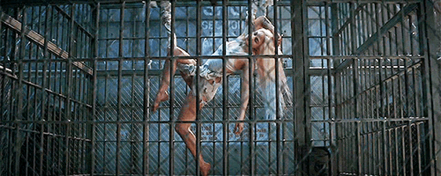 Harley Quinn GIF