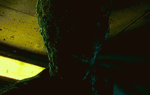 Harry Harry Potter GIF