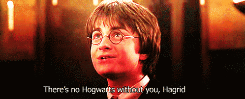 Harry Potter And The Chamber Of Secrets 2002 GIF. This 498 x 202 animated GIF is part of our hagrid collection. Created by Bellalaurens25. View the original…