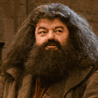 Harry Potter And The Philosopher'S Stone 2001 GIF. This 200 x 200 animated GIF is part of our hagrid collection. Created by Bellalaurens25. View the…