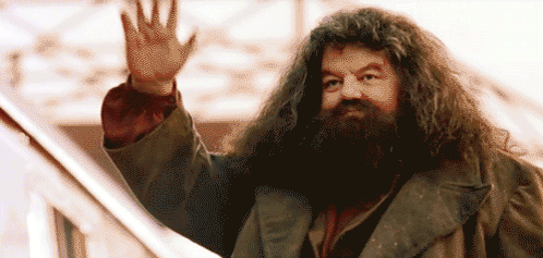 Harry Potter And The Philosopher'S Stone 2001 GIF. This 498 x 237 animated GIF is part of our hagrid collection. Created by Bellalaurens25. View the…