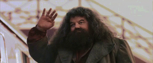 Harry Potter And The Philosophers Stone Rubeus Hagrid GIF. This 498 x 205 animated GIF is part of our hagrid collection. Related themes include hand waving…