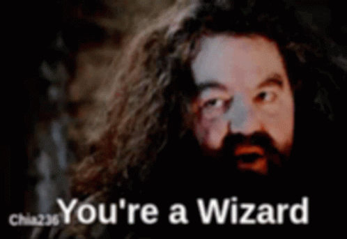 Harry Potter GIF. This 498 x 343 animated GIF is part of our hagrid collection. Created by MikeGIF. View the original animation, share it, or browse related…