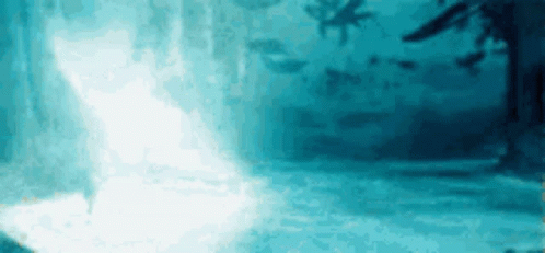 Harry Potter Daniel Radcliffe GIF