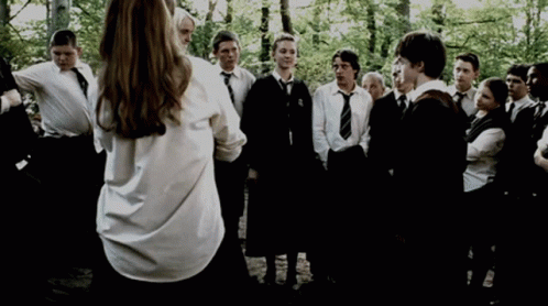 Harry Potter Draco Malfoy GIF