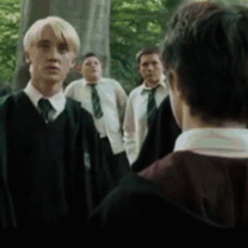 Harry Potter Draco Malfoy GIF