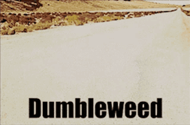 Harry Potter Dumbledore GIF
