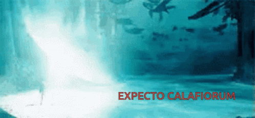 Harry Potter GIF