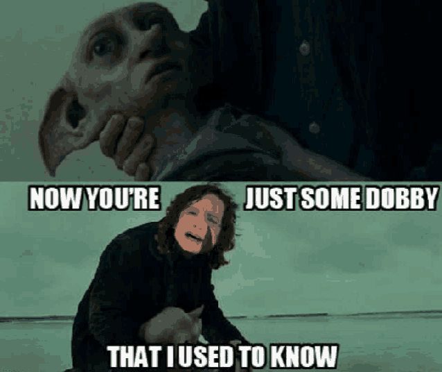 Harry Potter Funny As Hell Meme