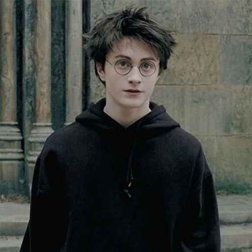 Harry Potter Handsome GIF