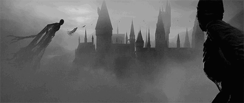 Harry Potter GIF