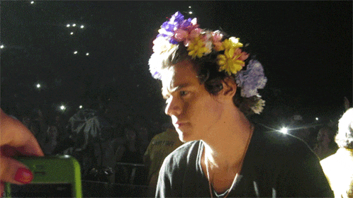 Harry Styles Harry Styles Flower Crown GIF