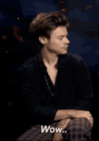 Harry Styles Wow GIF