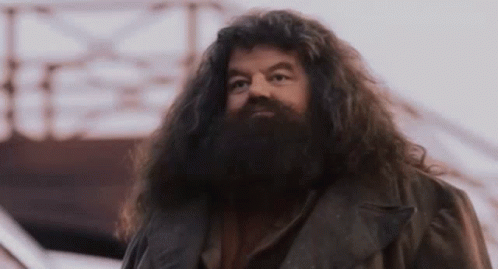 Harrypotter Hagrid GIF. This 498 x 269 animated GIF is part of our hagrid collection. Created by joooooey. View the original animation, share it, or browse…