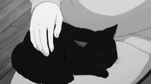 Harung Cat GIF