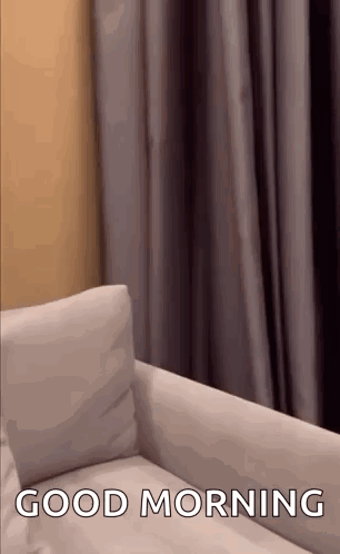 Hasbulla Hasbi GIF