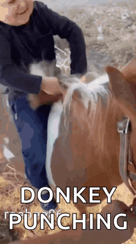 Hasbulla Hasbik GIF
