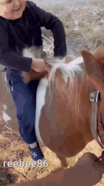 Hasbulla Hasbik GIF