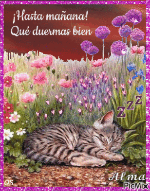 Hasta Mañana Buenas Noches GIF