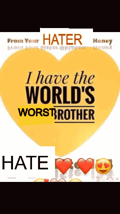 Hate Brother Hater GIF