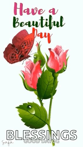 Have A Beautiful Day Butterfly GIF