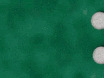 Have A Good Day GIF