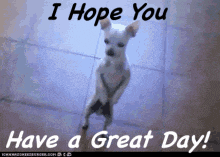 Have A Great Day Cute GIF