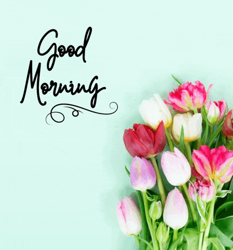 Have A Great Day Meme