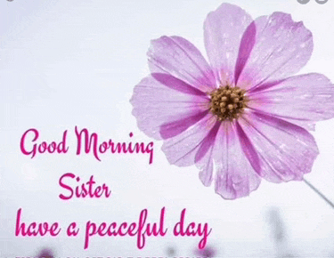 Have A Great Day Meme
