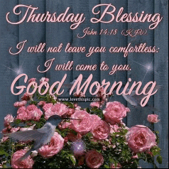 Have A Great Day Meme