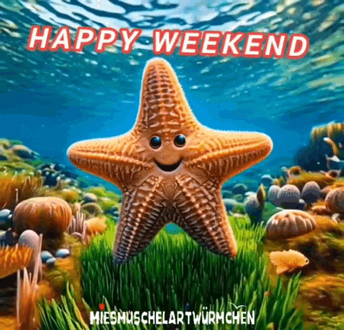 Have A Great Weekend Meme