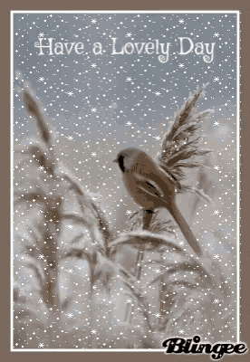 Have A Lovely Day GIF