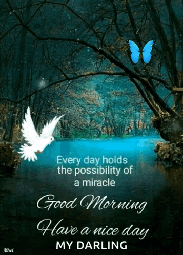 Have A Nice Day Christmas Cheer GIF