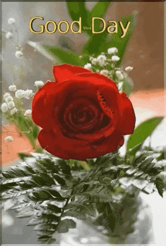 Have A Nice Day GIF
