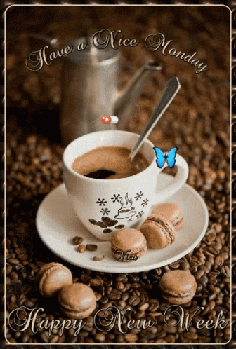 Have A Nice Monday Happy New Week GIF