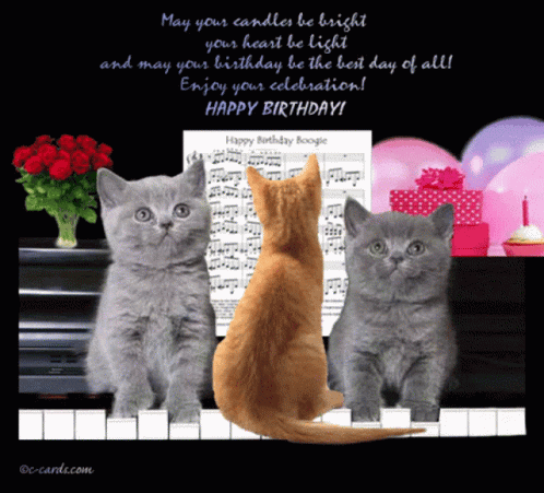 Have A Wonderful Day Happy Birthday GIF