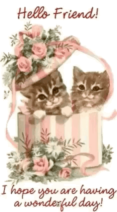 Have A Wonderful Day Hello Friend GIF