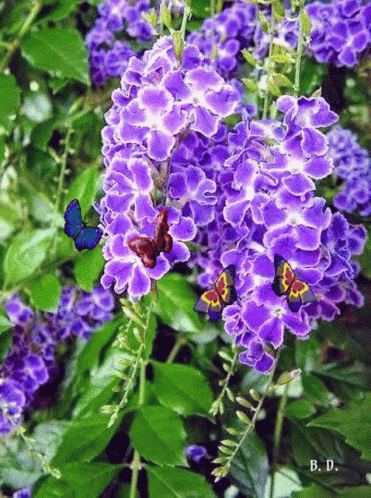 Have A Wonderful Day Nature GIF