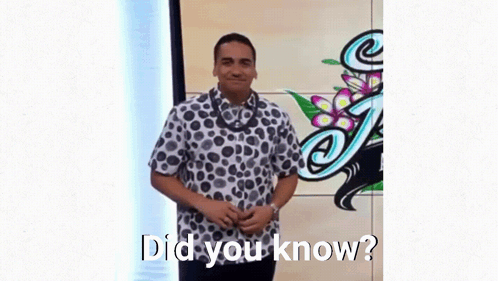 Hawaii Kamaka Pili GIF
