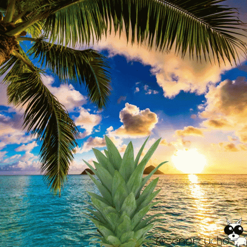 Hawaii Pizza GIF