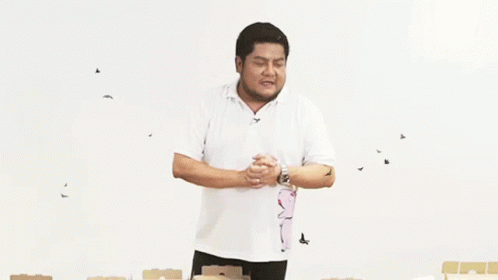 Hawaiian ฮาวาเอียน GIF