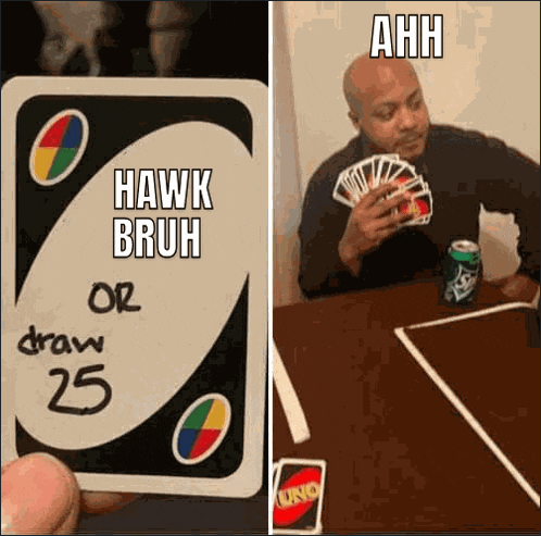 Hawk Tuah Hawk Bruh Meme