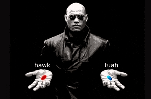 Hawk Tuah The Matrix Meme