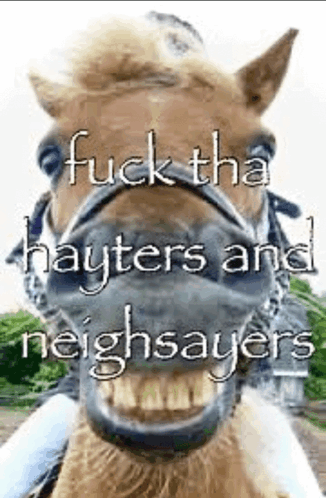 Hayters Neighsayers Meme