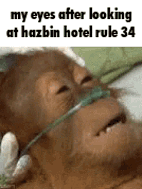 Hazbin Hotel Rule34 GIF
