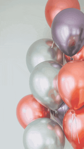Hb1234 GIF