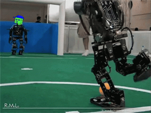 Hbots Hederanft GIF