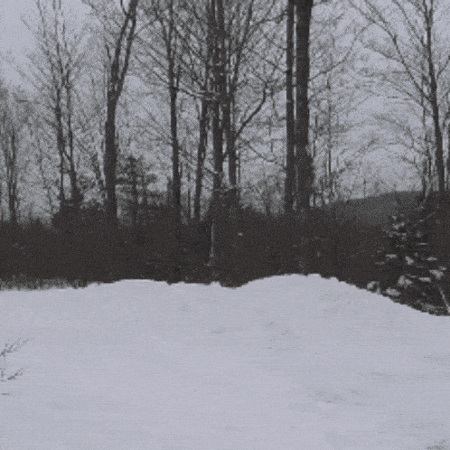 He Man Man At Arms GIF